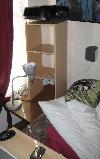 IMG_1295.jpg